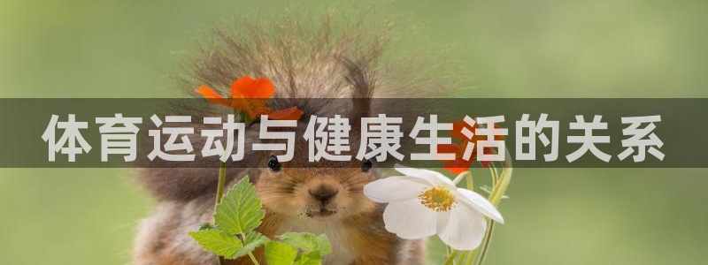 米兰体育官网下载软件:体育运动与健康生活的关系
