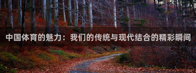 米兰体育官方正版app集团官网首页:中国体育的魅力:我们的传